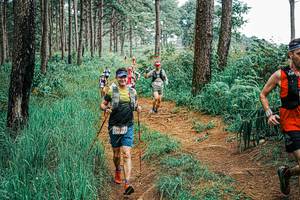 BIB: 
                            <button type="button" onclick="openModal(25660785)" class="btn btn-primary btn-sm float-right btn-popup" data-toggle="modal" data-target=".modal-high-quality">
                        <i class="fas fa-shopping-cart"></i> Add to Cart
                    </button>
                                            <button type="button" onclick="isThisMe(25660785, true)" class="btn btn-success btn-sm float-right btn-popup btn-isme hidden" data-toggle="tooltip" data-placement="bottom" title="นี่คือรูปของคุณใช่ไหม คลิกที่นี่เพื่อเอาเข้าอัลบั้ม">
                        <i class="fas fa-plus"></i> Add to album
                    </button>
                    <button type="button" onclick="isThisMe(25660785, false)" class="btn btn-warning btn-sm float-right btn-popup btn-isnotme hidden">
                        <i class="fas fa-ban"></i> Remove from album
                    </button>